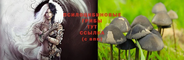 наркотики Зеленодольск