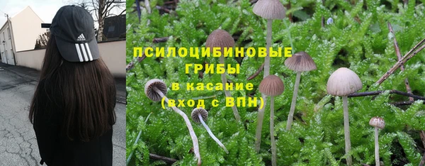 тгк Зерноград