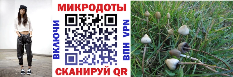 Купить где  Рубцовск  Псилоцибиновые грибы Cubensis 