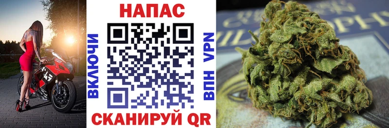 Конопля индика  Купить закладки  Рубцовск 